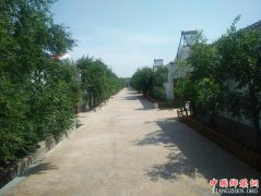 �������䣺������������ũ���Ʊ�