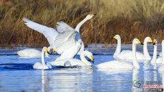 ���ź��� ����ˮ�������������