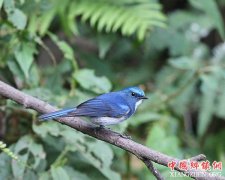 �߽����ϸ��蹱ɽ������ʥ�ء�