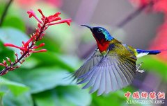 ��д����������������̫����