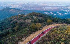 ��ɽ���̵�����Ϊ�������������