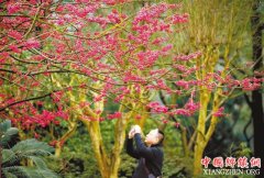 ��ɽ��������ɽ�ع�԰