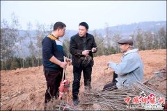 �Ĵ���Ϫ������ν����¾���