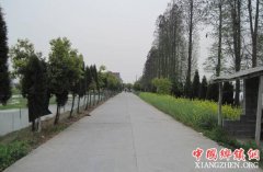 ��������2017�곬�����ȫ��Ŀ�� ũ�幫·����ӭ���ջ�