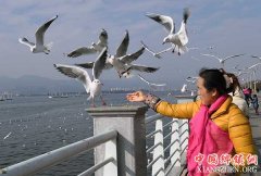 ������������Ÿͬ��