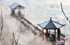 �����ɾ�