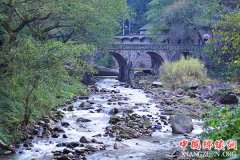 ���죺��Ϫǧ�������ζŨ