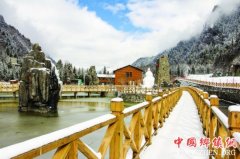 �λñ��﹵�������������죬ȴ���������