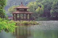 ������� ���´����㽭ʡ�������ʾ����