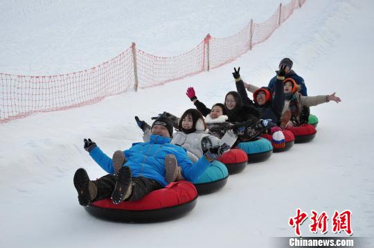 ������Į��ѩȦ������Ŀ ������ ��