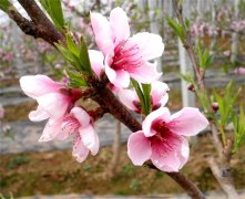 ɽ��۰�ǣ����ڻ�������  ������������