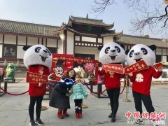 ��ȫ�����è����۶����� ��ӭ�ο͹����й���