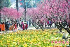 �������� �˾��س�