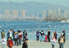 ����������Ÿ���˻���