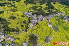 ����ʦ�ڣ��Ͳ˻��� �������䣨��ͼ��