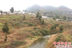 ���ݹ�������ǧ�˰ٶ����������Ǵ�