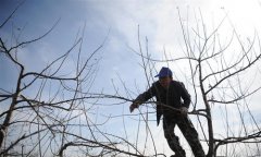 ���ڴ����� ��ũ����æ