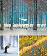 ���������и���������