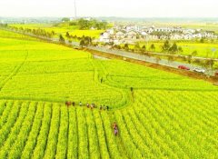 ���ˣ��Ͳ˻������ʹ�