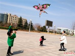 ɽ��۰�ǣ�Ұ�⽡�������ݡ�������