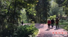 �Ĵ�������һԪǮɨ���������