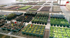 ����۽�حд�����������ƪ������