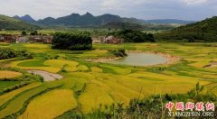 ����Ժ������������������߷���