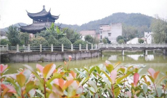 ������Ρ�Ī��������ζ��