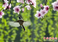 軨㴫
