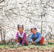 ���ش�����续