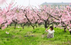 �һ�����ӳ��ɫ