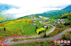 ���· ������