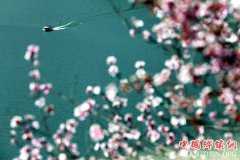 ̤���;�����ʱ