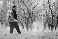 �ӱ���С�󴺹���æʱ