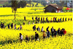 ���ݽ��£�ӵ���������