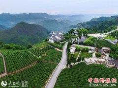 ����������������޺� �����á�����ʱ����ͼ��