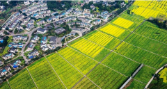 �Ĵ����ݽ������ִ�ũҵ�������ں� ��԰ʵ��������