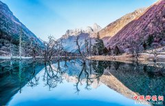 �Ĵ������κ��ݹ���8������ֵ��һ��