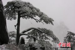 ���ջ�ɽӭ������ѡ���й�����������