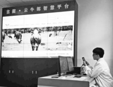 ���ݹ����أ����ֻ���������ţ