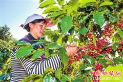 ���ϣ��ն�������չ���Ȳ�ҵ