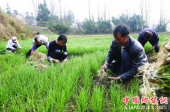 ��ҵ�����������֡� ������ɫ����������