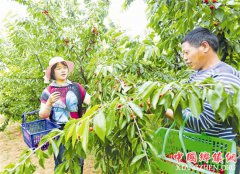 ����Ͽ�ų��غ�ӣ�Ҵ��� ���������