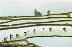 ����ɽկ���ˡ����족��