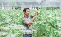 2018����֧ũͶ�����ȳ����Ӵ� ���ȴ�����