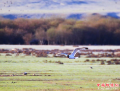 ����ɽ��������������������