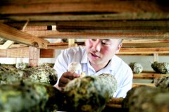 Ҳ����ӡ��տǴ塱�䡰ʵ�Ĵ塱