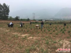 ��������������������ɽ�忪չ������ݻ