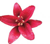 5�����ٺϻ�����������Ұ��԰