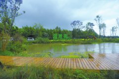 �ɶ�����100��Ԫ���� ������ɫ��ʹ������̱����޸�